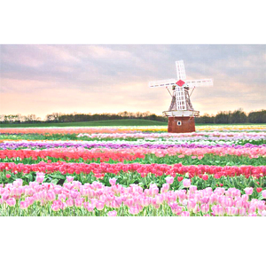 日韩光屁股做爱视频在线观看
