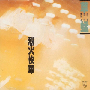 日韩光屁股做爱视频在线观看
