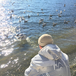 日韩光屁股做爱视频在线观看
