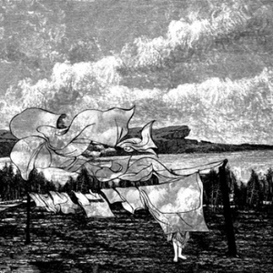 日韩光屁股做爱视频在线观看
