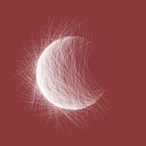 日韩光屁股做爱视频在线观看
